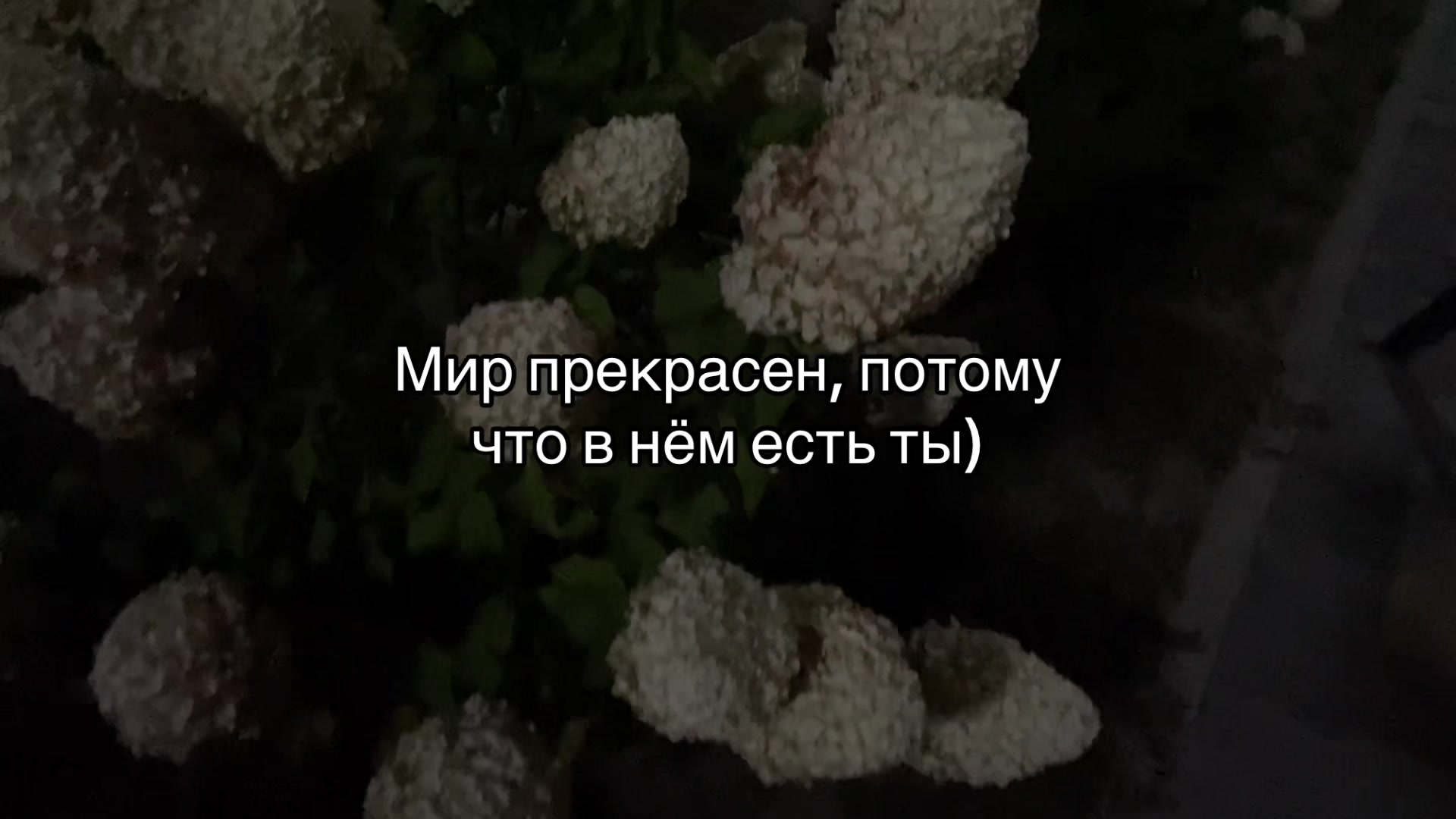@fuskkitlove