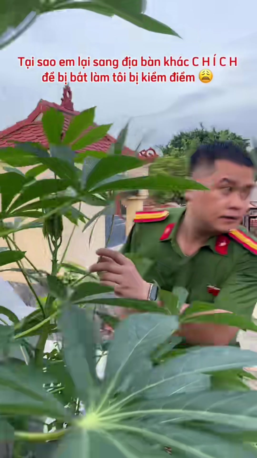 @Hiệp thanh hà