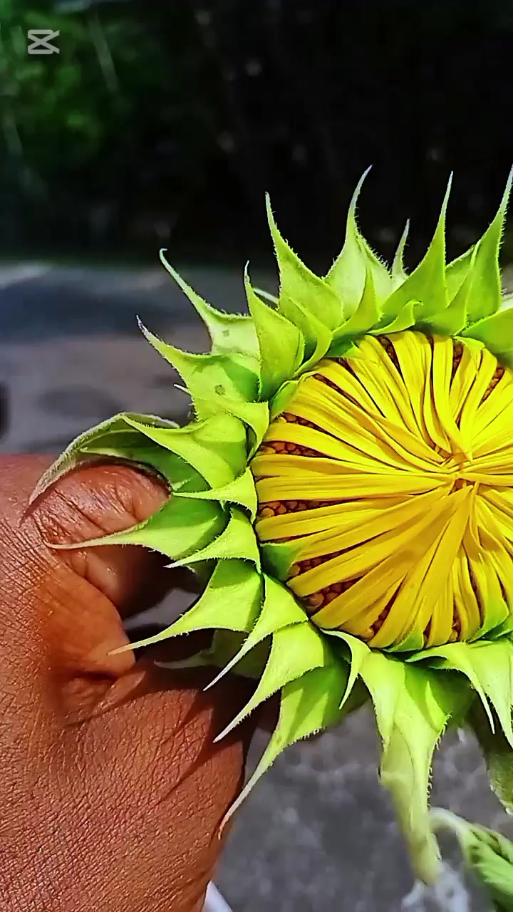 @꧁༒ꪖꫝ𝘴ꪖꪀ ꪖꫝꪑꫀᦔ༒꧂