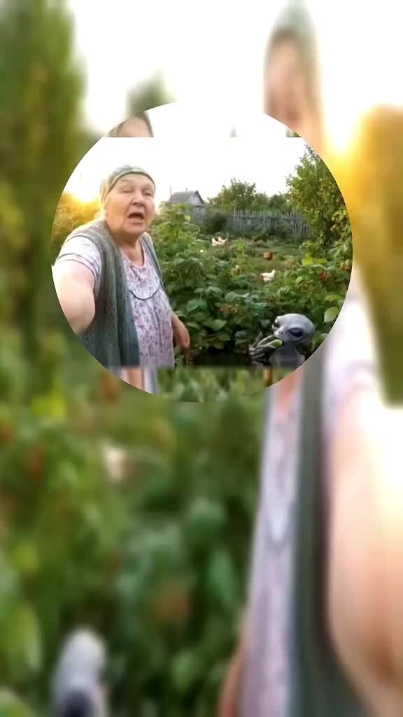 @ваш друг