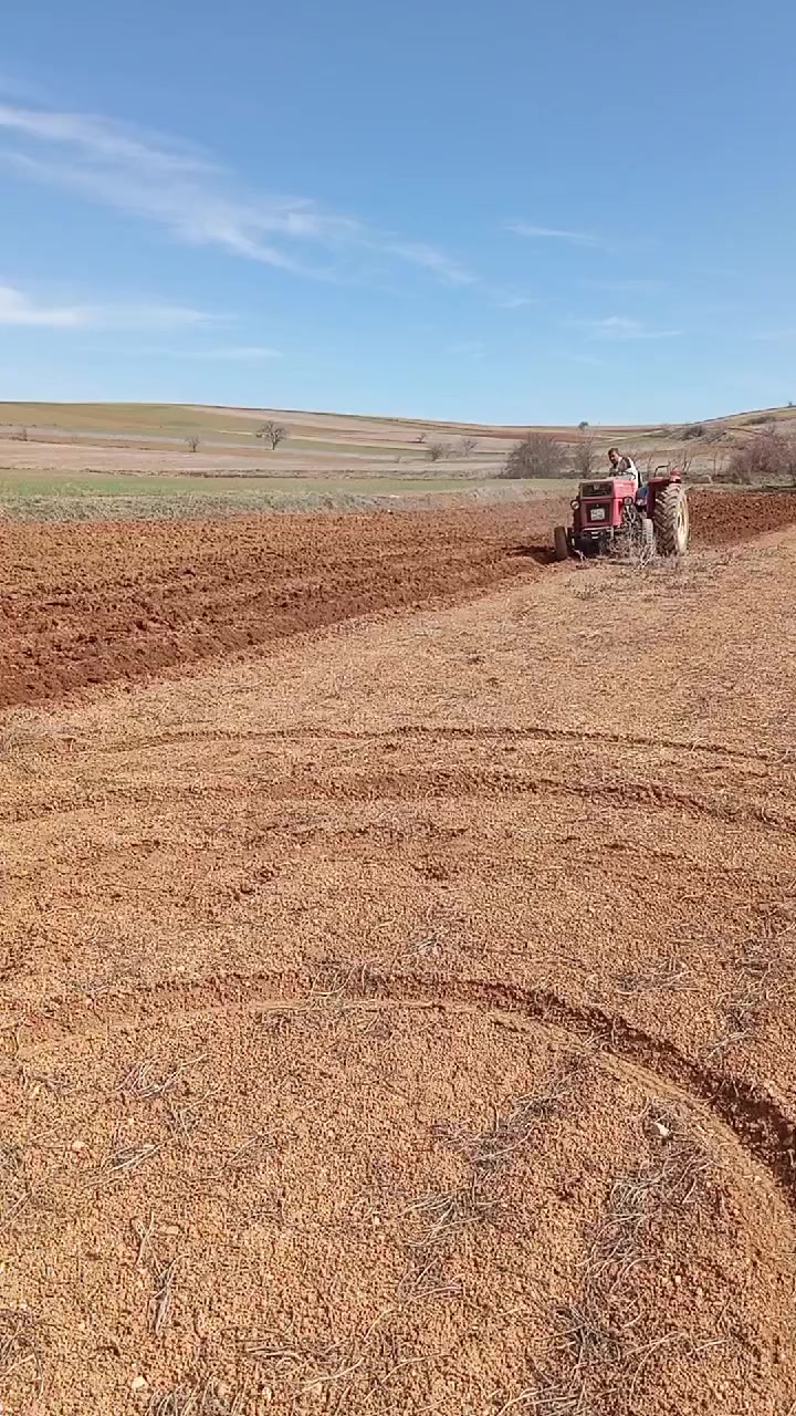 @Niyazi Akğ&uuml;neş