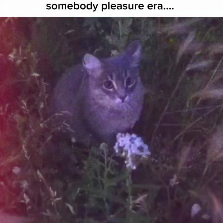 @𝙈𝙚𝙣𝙣𝙣