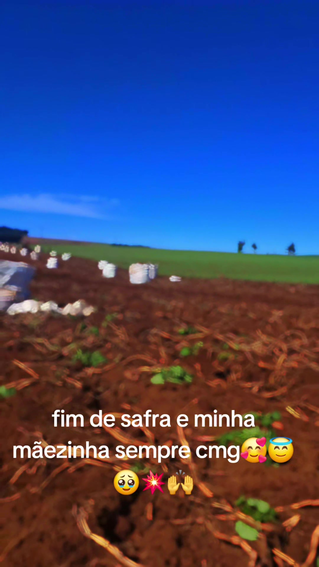 @Thais Souza