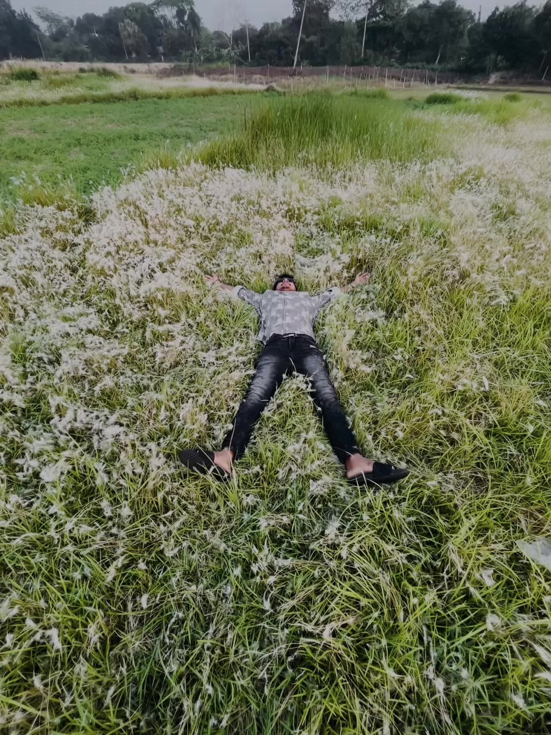 @niloyraj571