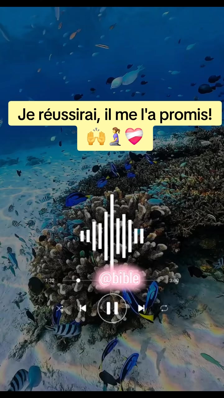@☦️ Bible th&eacute;matique ⛪️