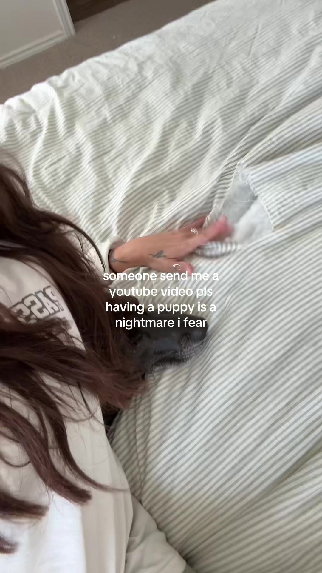 @maddiecarlsonn
