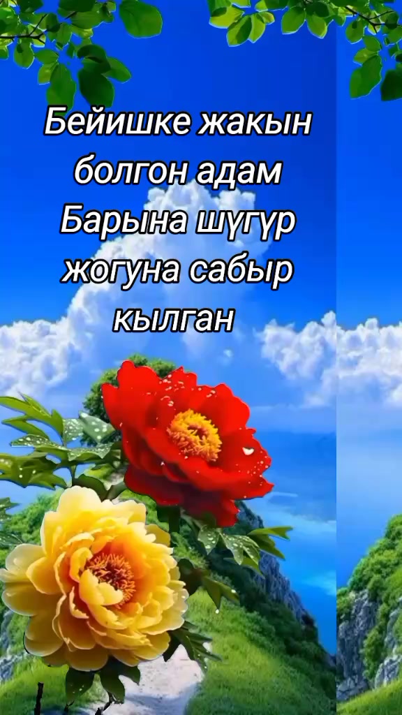 @BERMETIC