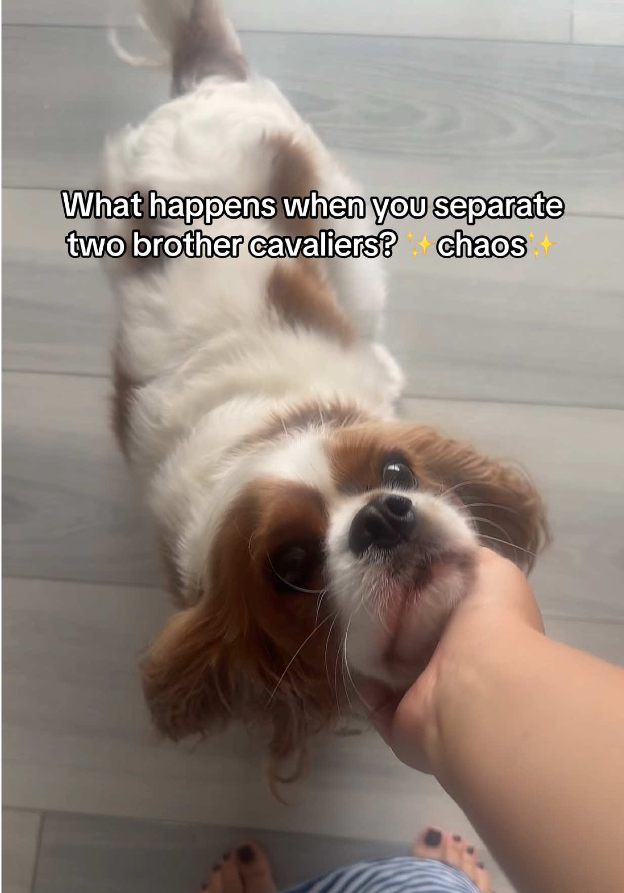@claireannataylor