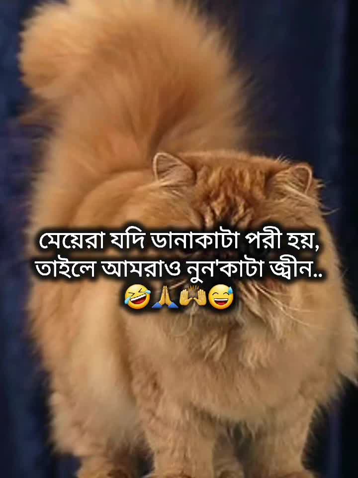 @Mᴀʀᴜғ Bɪʟʟᴀʜ 🌱