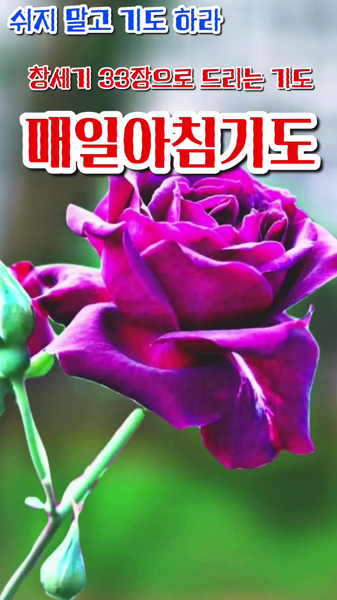 @피켓전도 김종일 목사