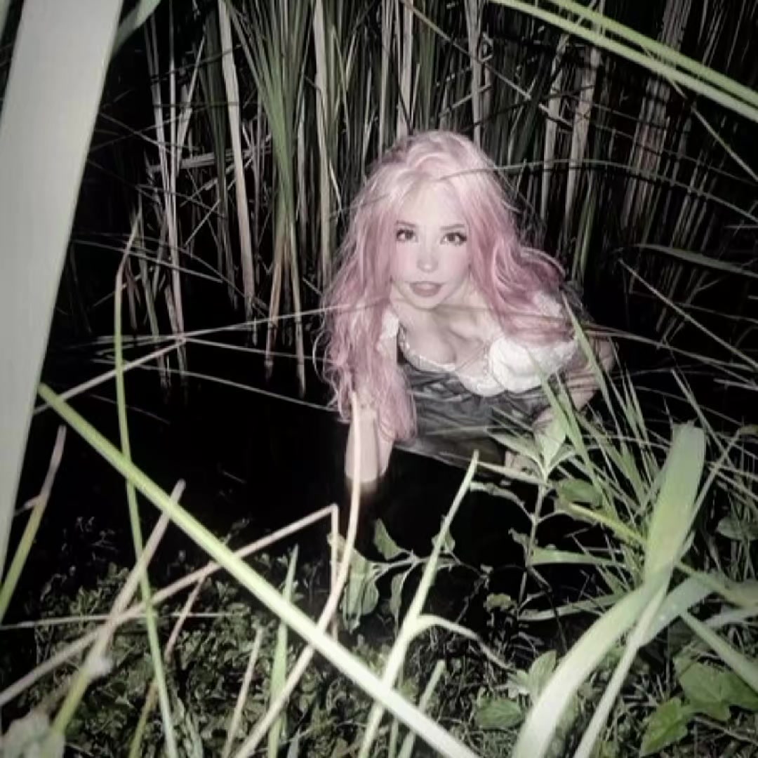 @࿔🦢࿔BELL DELPHINE࿔‧ ֶ🫧˚ ‧࿔ ˚