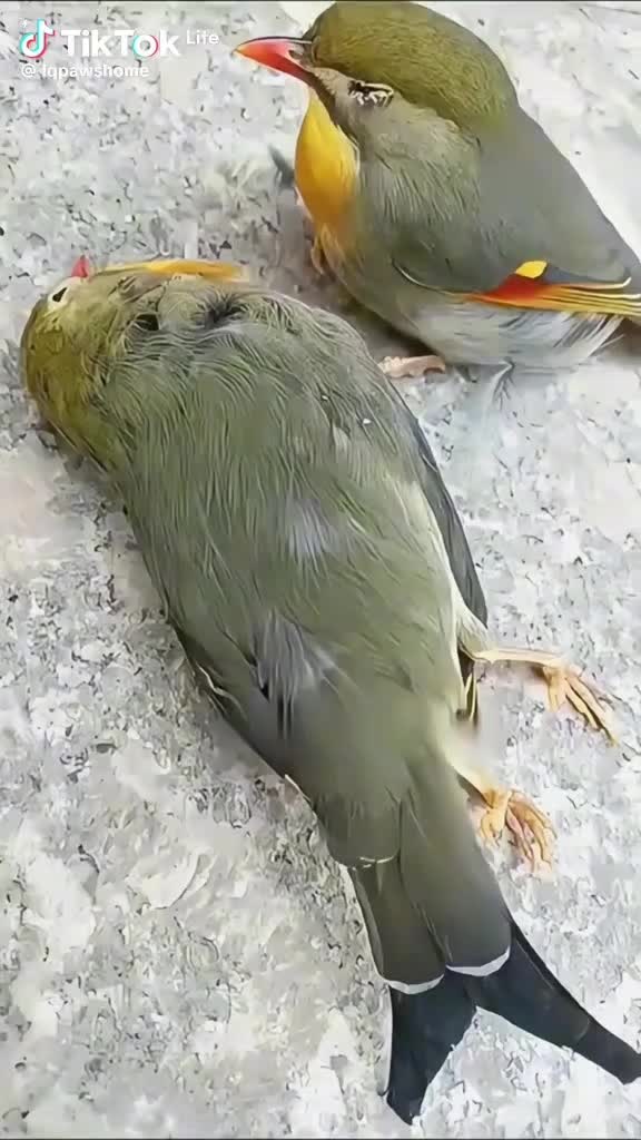@End Kabijimpanga