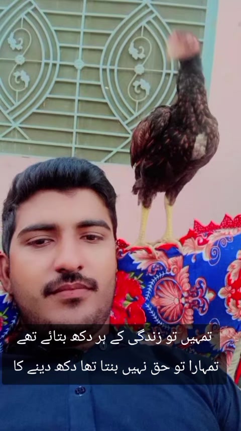 @kashifaseel2