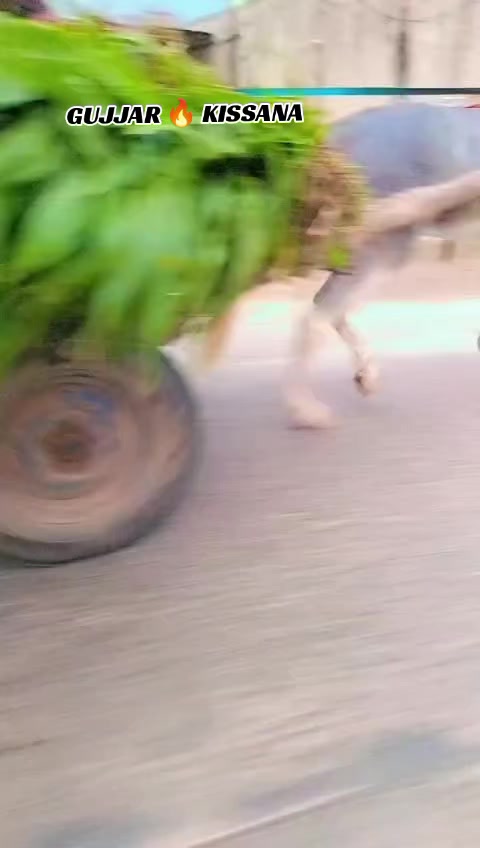 @𝐆𝐔𝐉𝐉𝐀𝐑 𝐊𝐈𝐒𝐒𝐀𝐍𝐀55