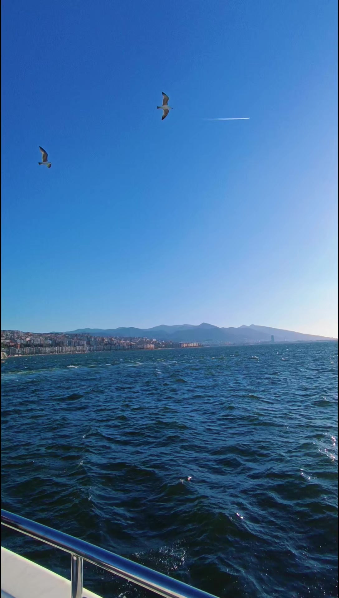 @DRM•𝕸𝖚𝖘𝖙𝖆𝖋𝖆🕊️