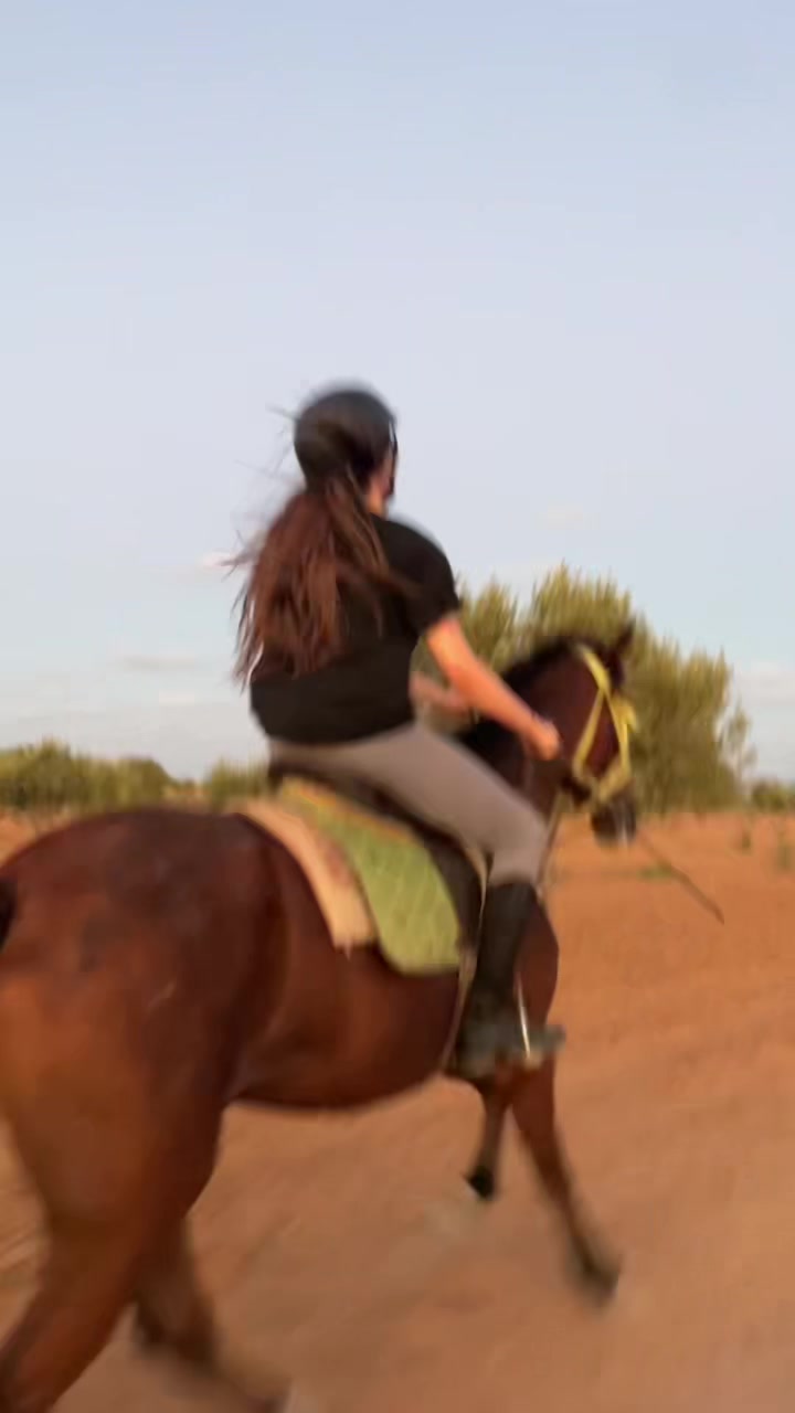 @Feres Ben Amor 🏇