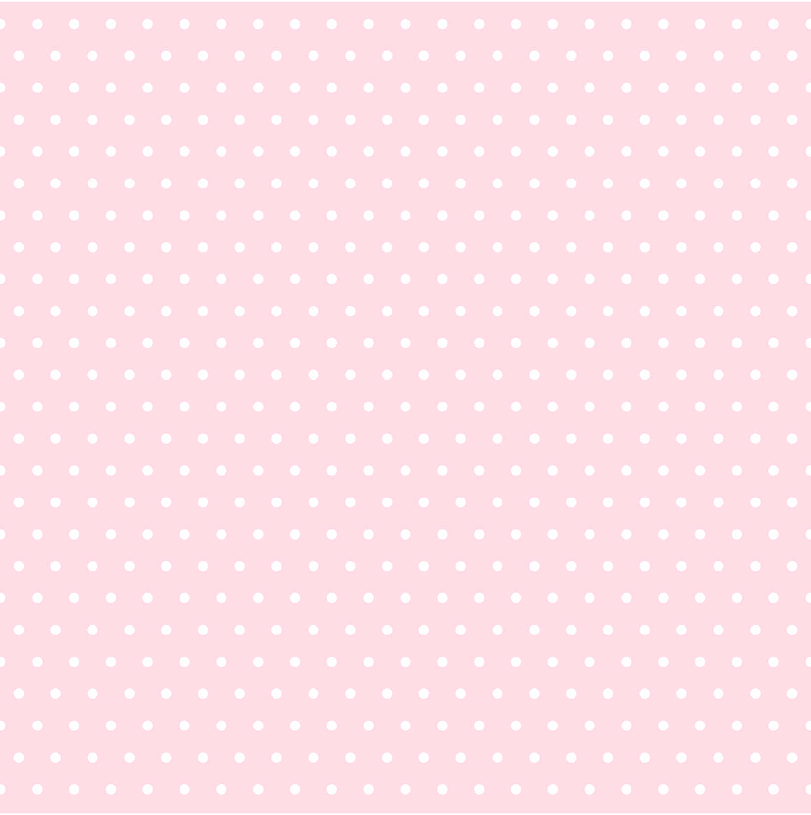 @᥎⍺lꫀׁׅܻr𝕚⍺ ᩧ   ˖𓍢ִ໋❀.ೃ࿔