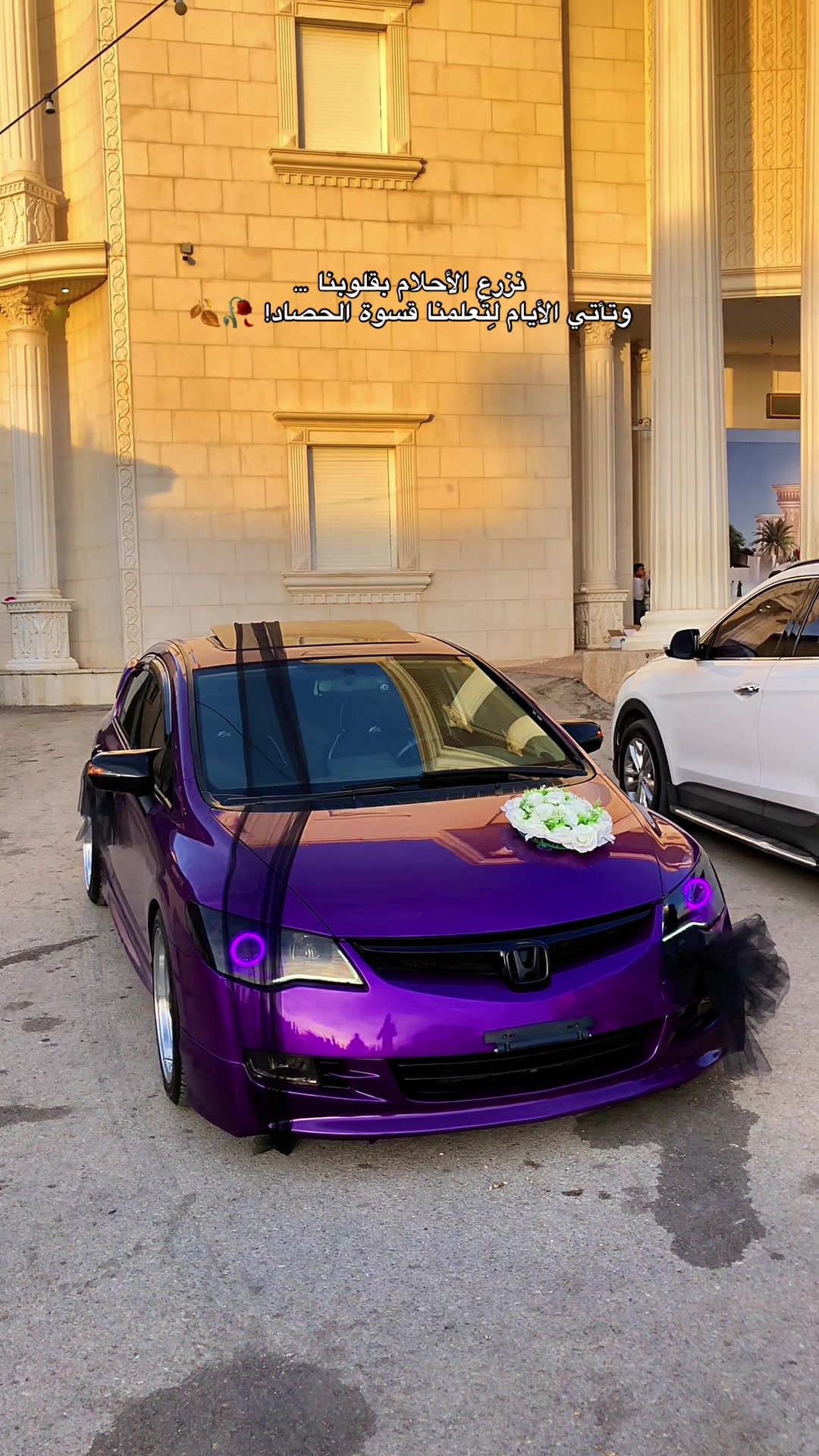 @★ 𝓜𝓞𝓜𝐄𝓝 ★
