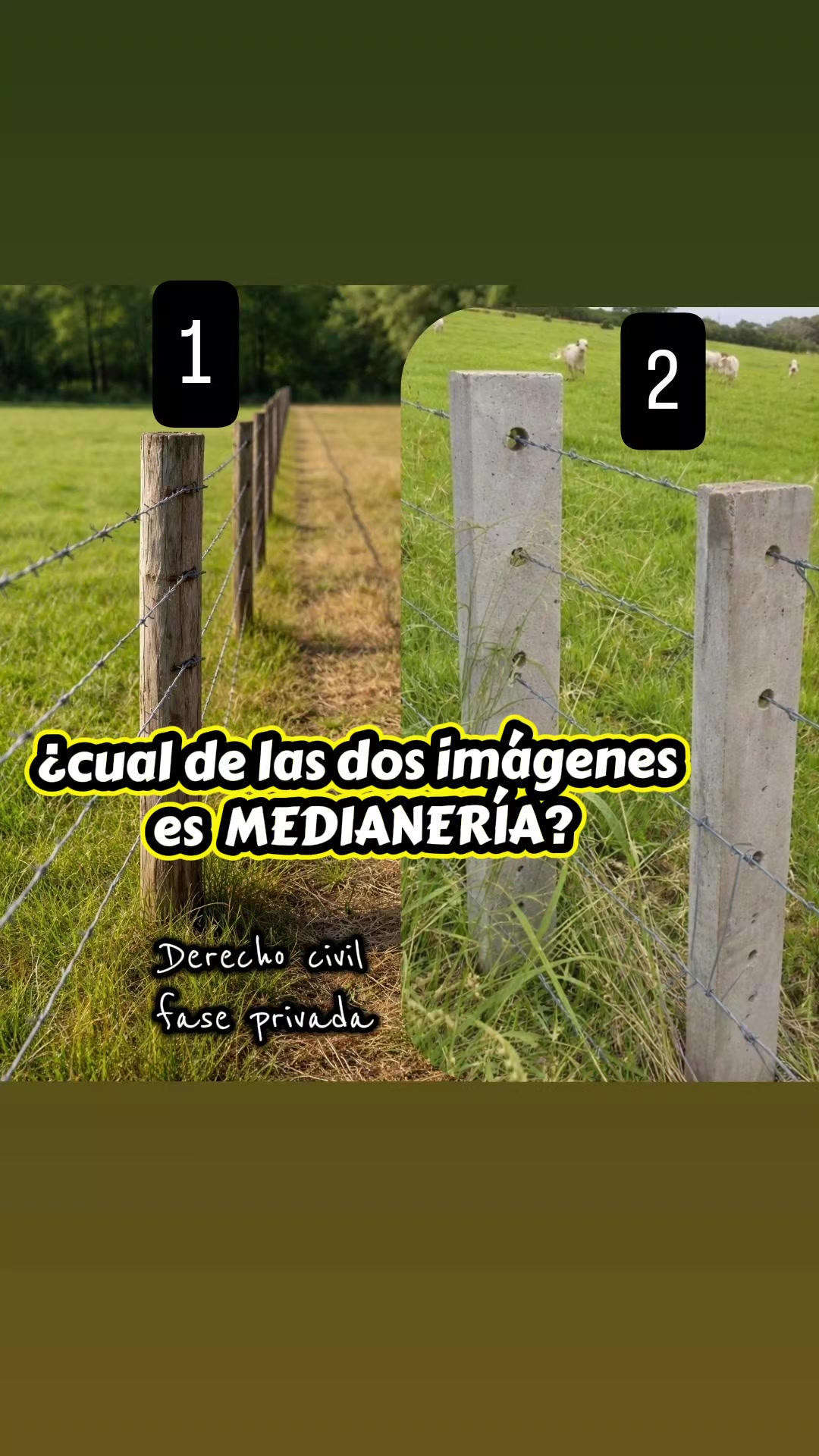 @Escuelita Jur&iacute;dica.⚖️