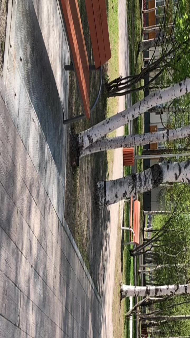 @Тгк:🗣️Городскооой