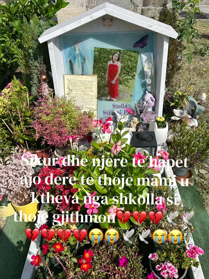 @🦋🦋🌟🌟Stellabona💔💔💔🦋🦋🦋