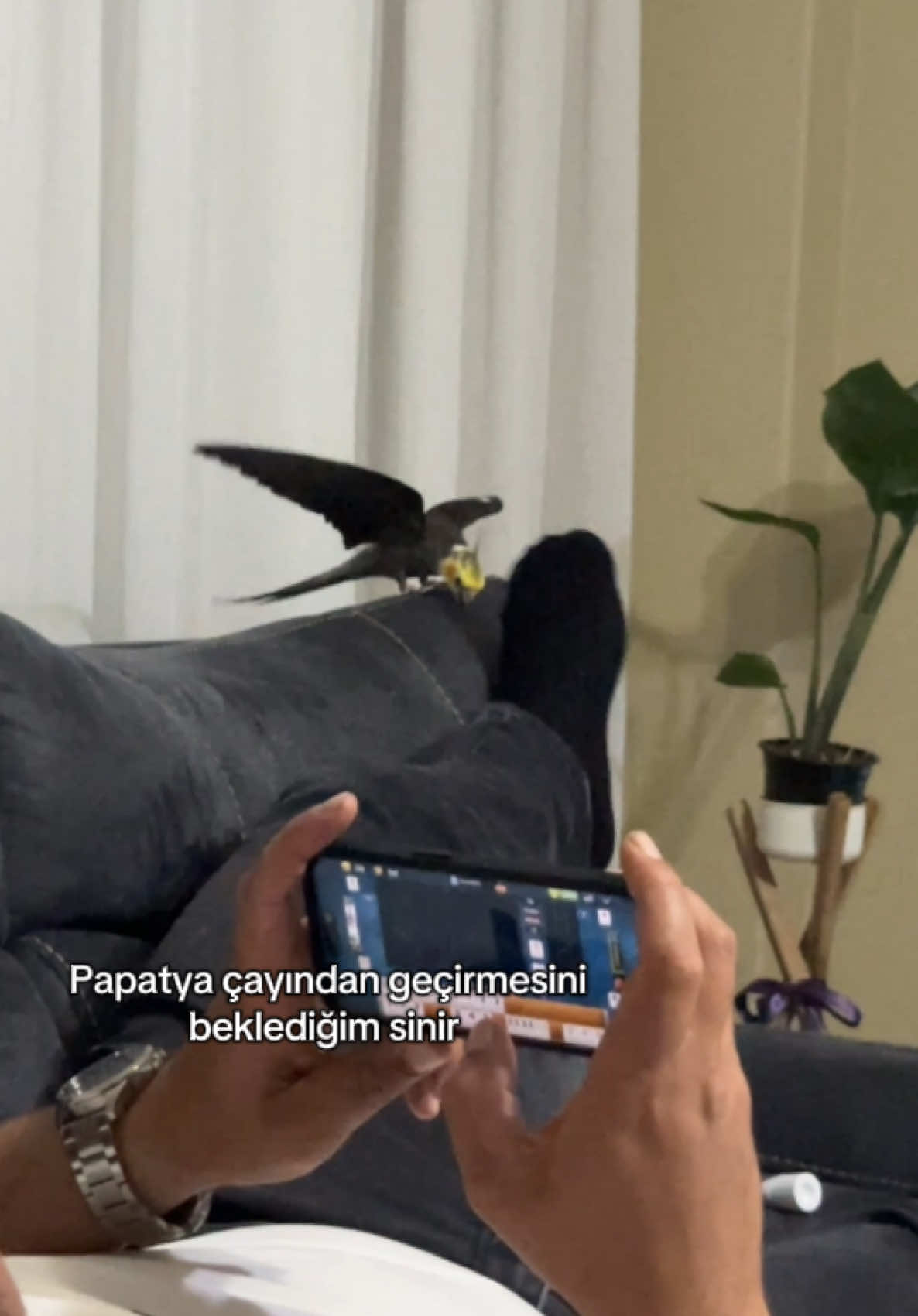 @Svg.K.E