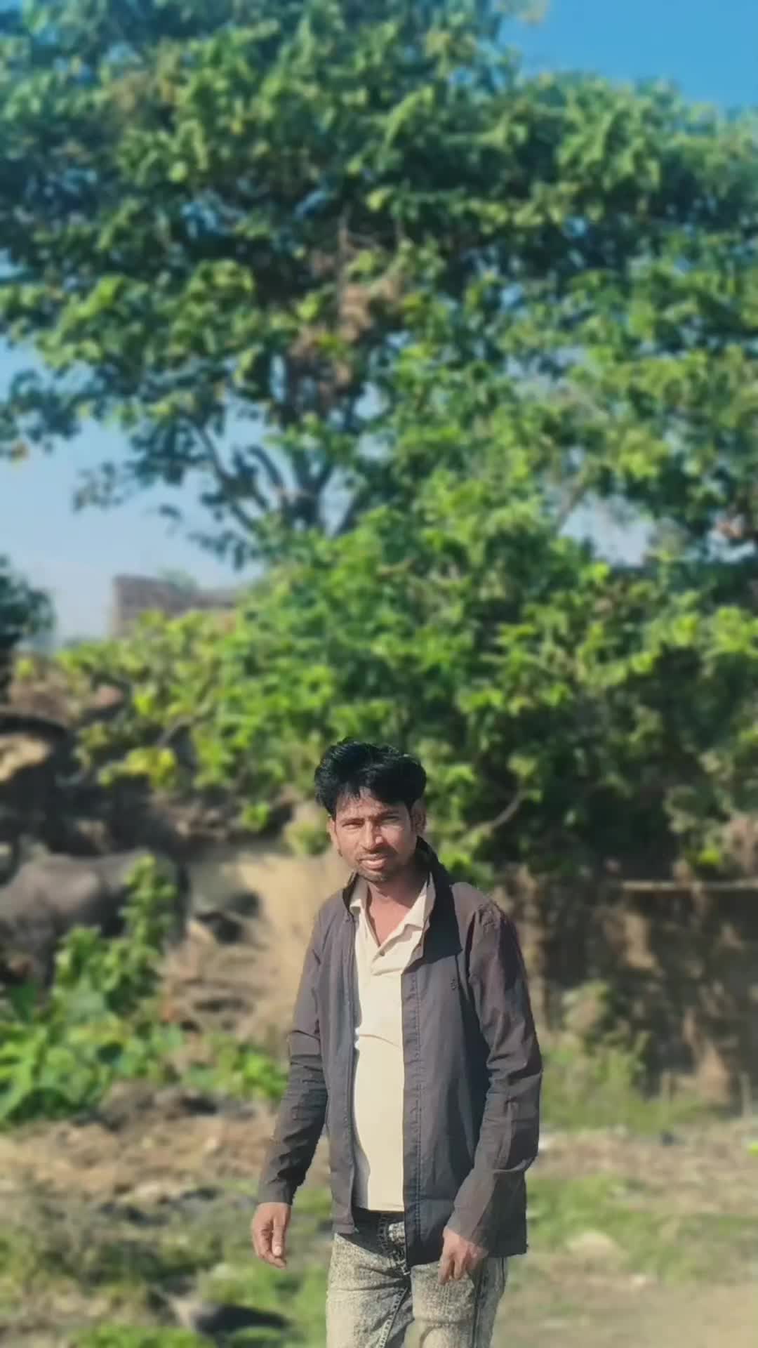 @Shah brand