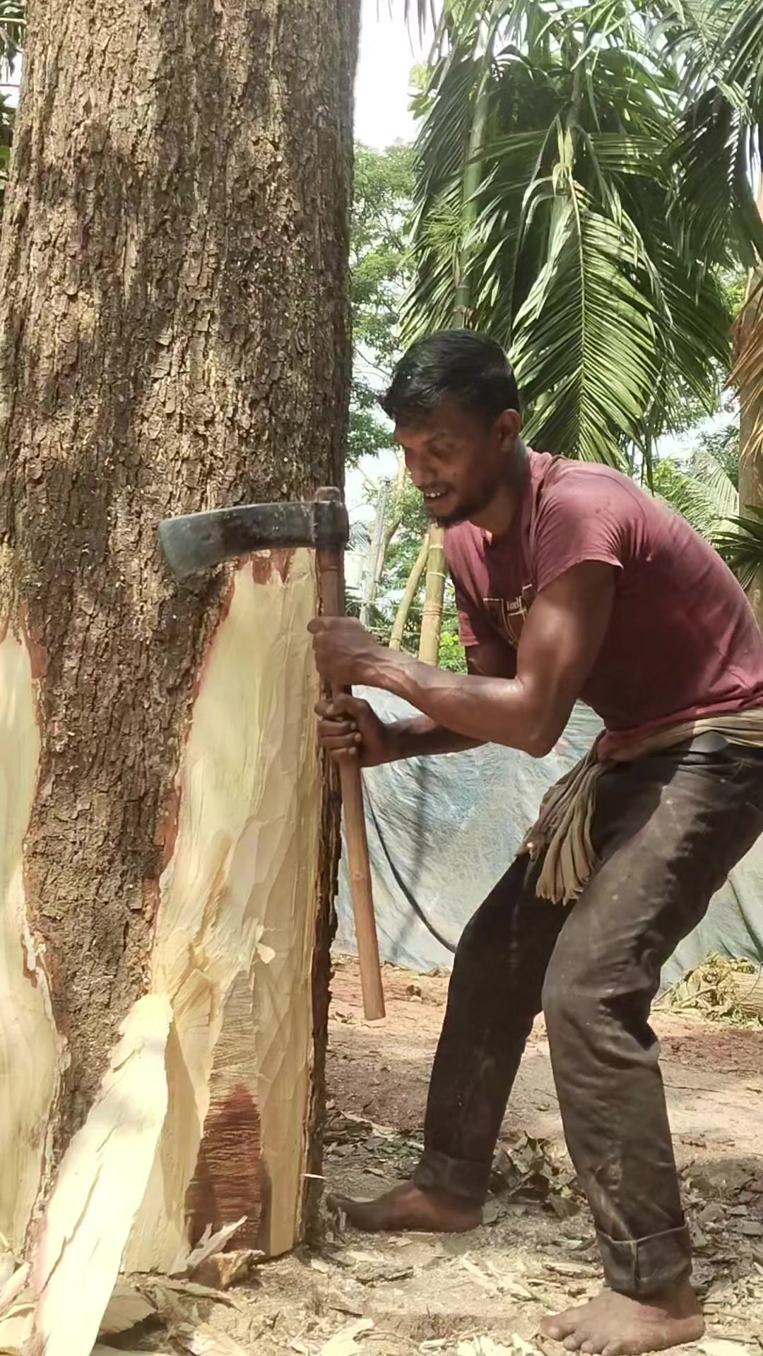 @যশোরের পোলা