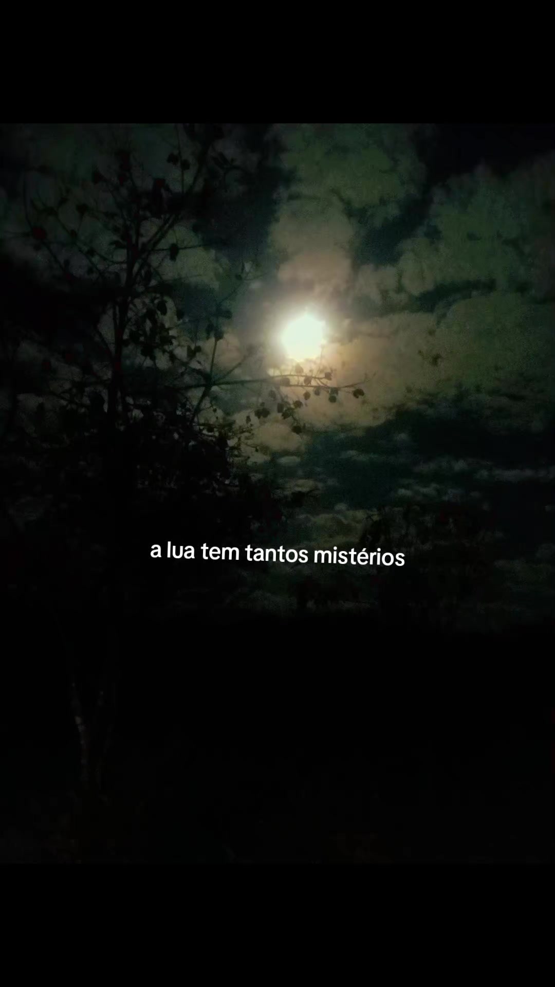 @Maria Feitosa