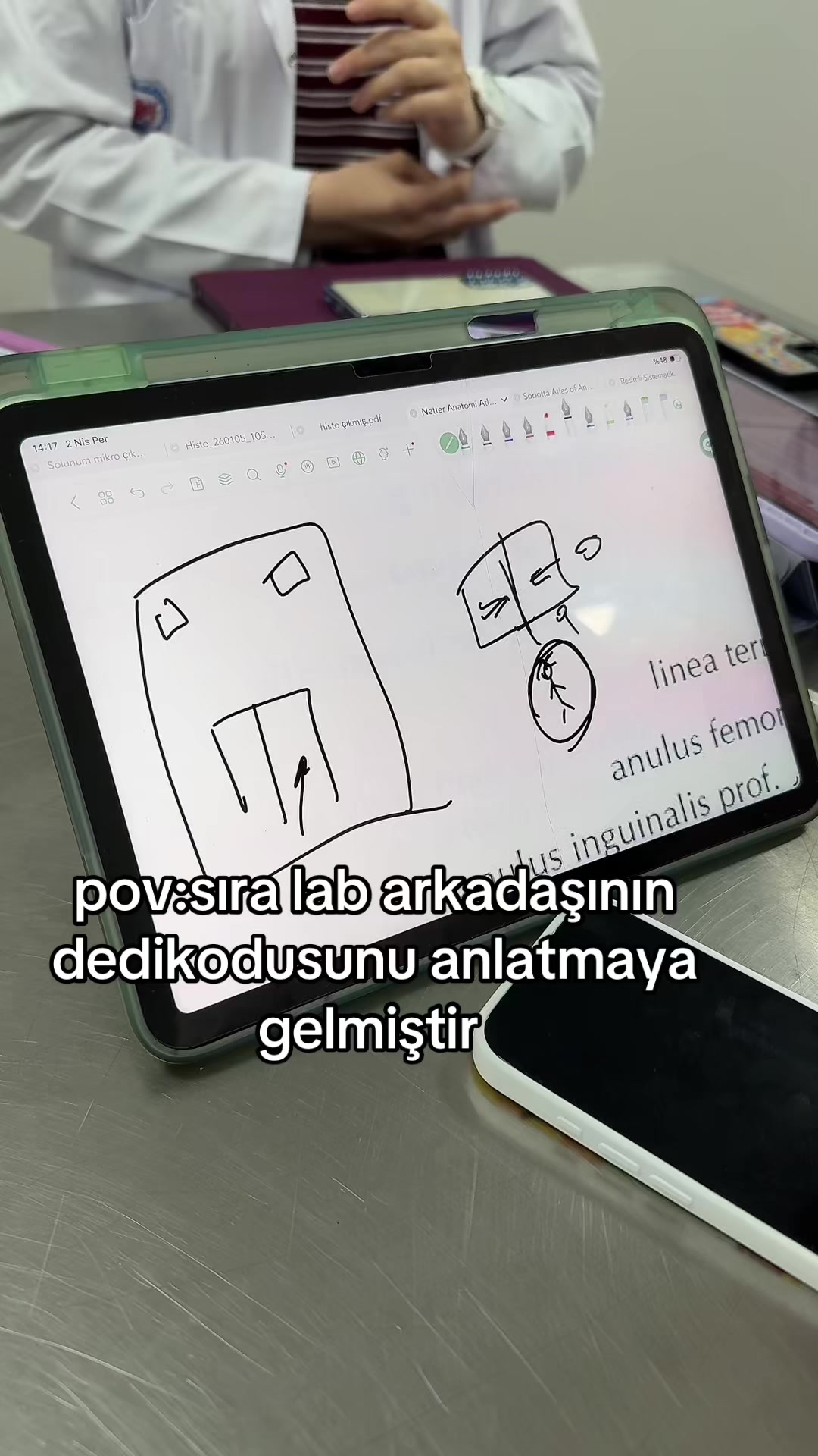 @nisacilin