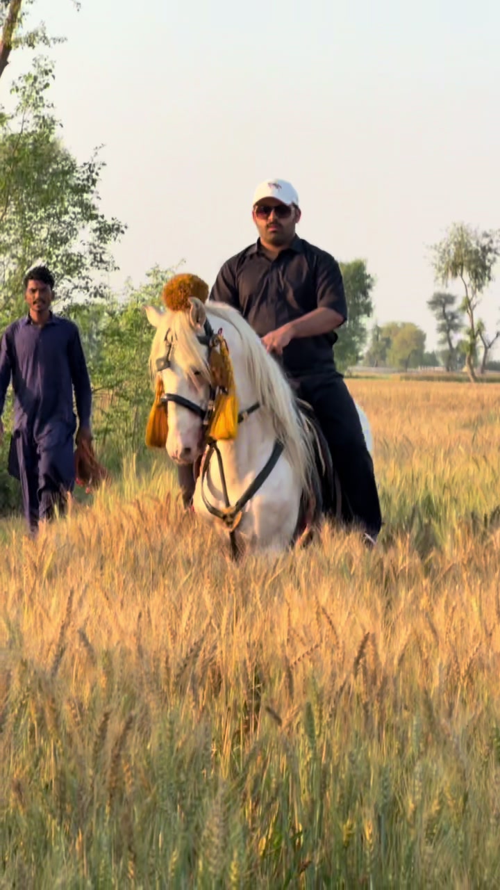 @Pir Gohar Saifullah Chishty