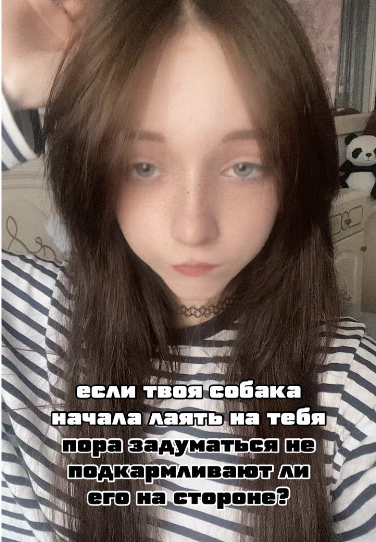 @сайко