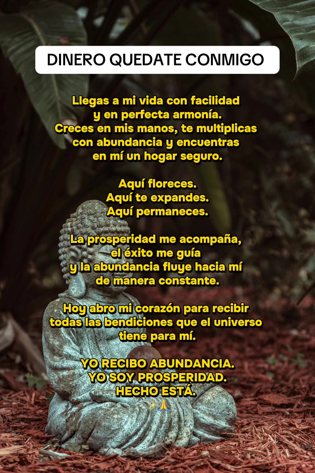 @Paragustosloscolores00