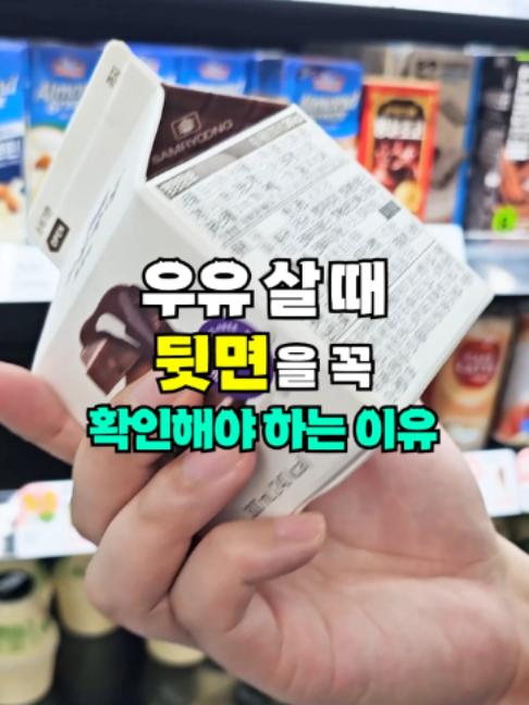 @뚝딱 상식 뚝배기