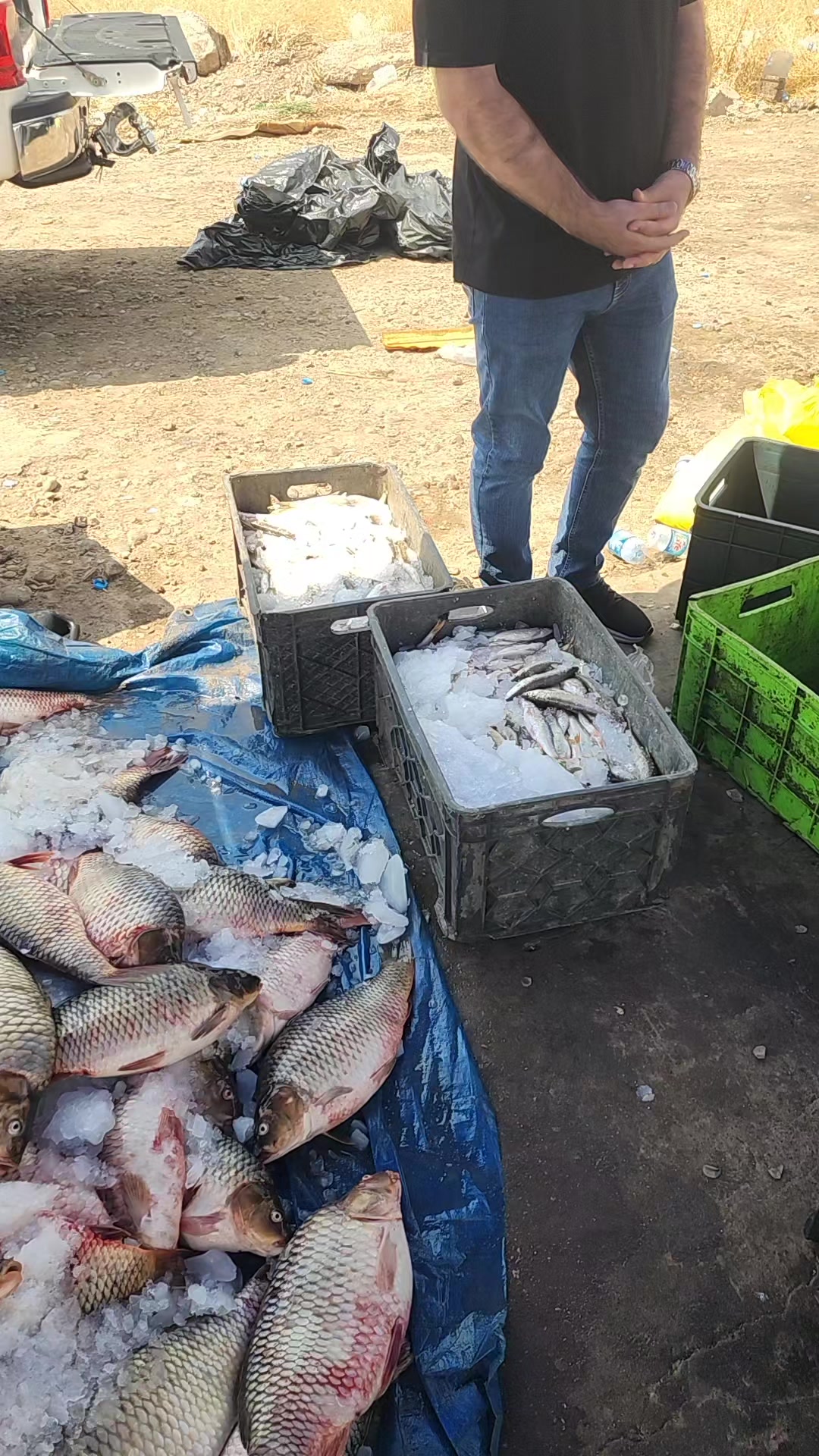 @🐟عارف زراریarf zrare🐟