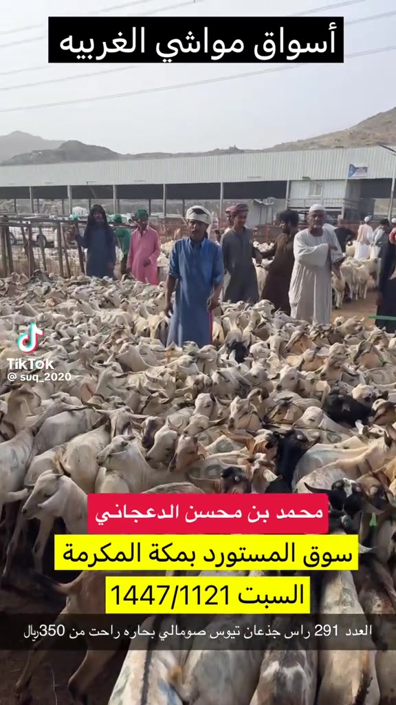 @mohamed_ksa0