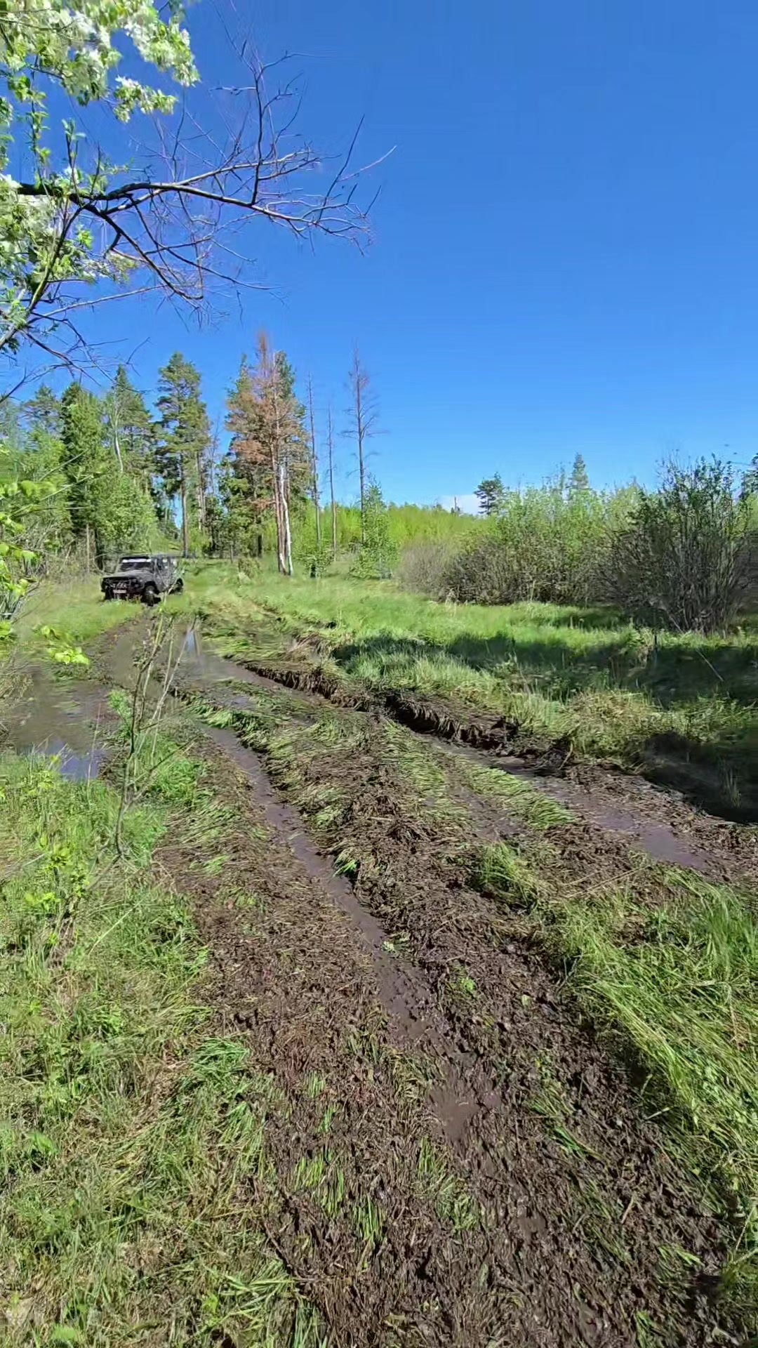 @Сергей174