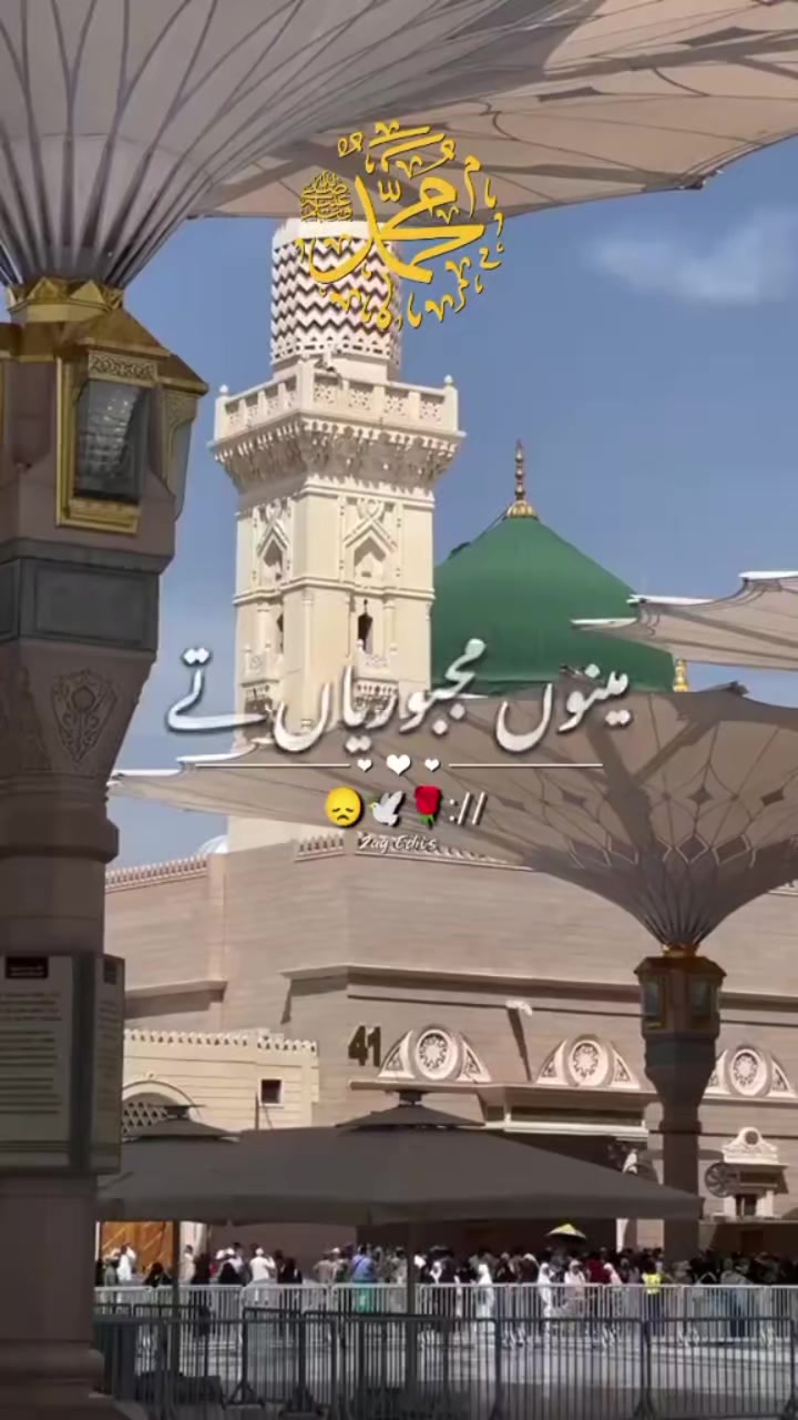 @❤️𝐀𝐍𝐖𝐀𝐑 𝐒𝐇𝐀𝐅𝐈❤️