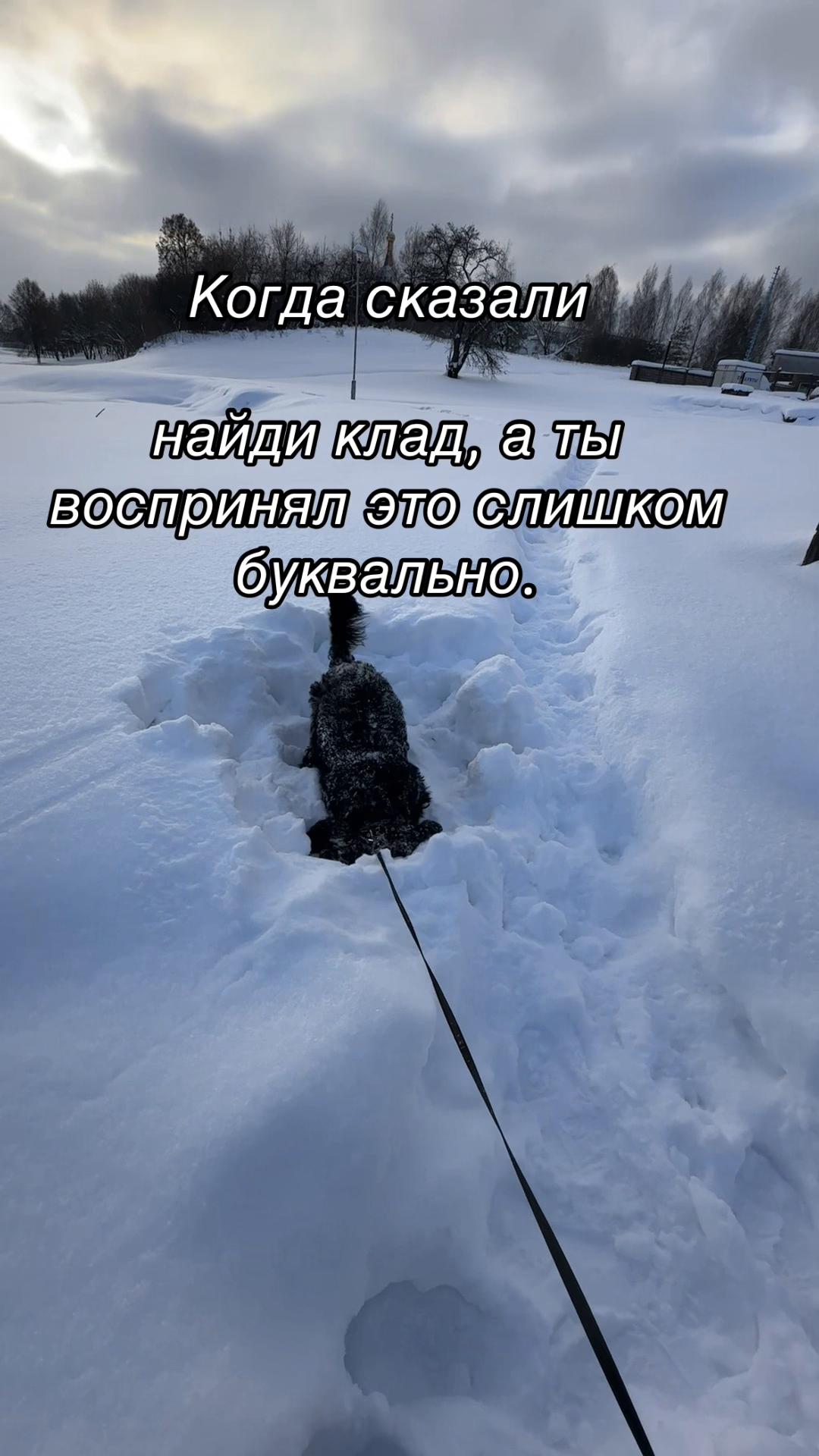 @Екатерина