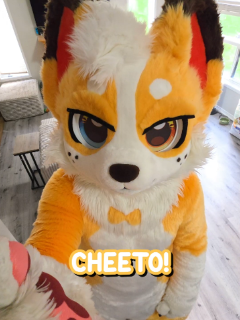 @Corgi