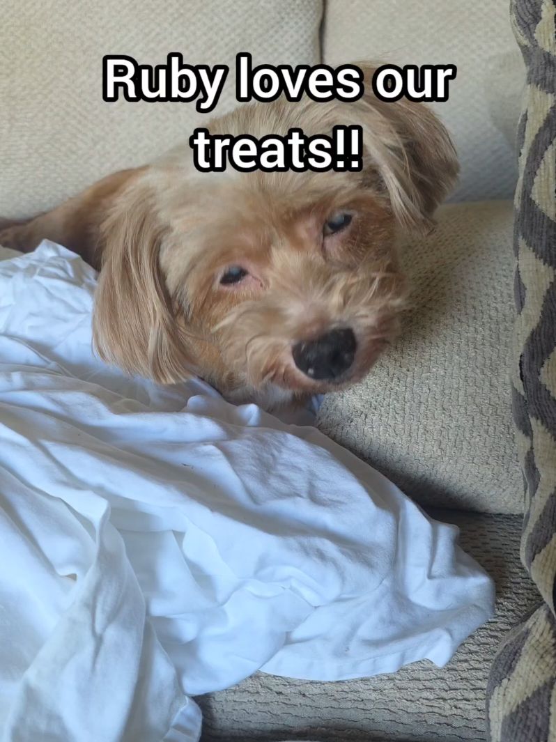@BuddyandMikes Pal