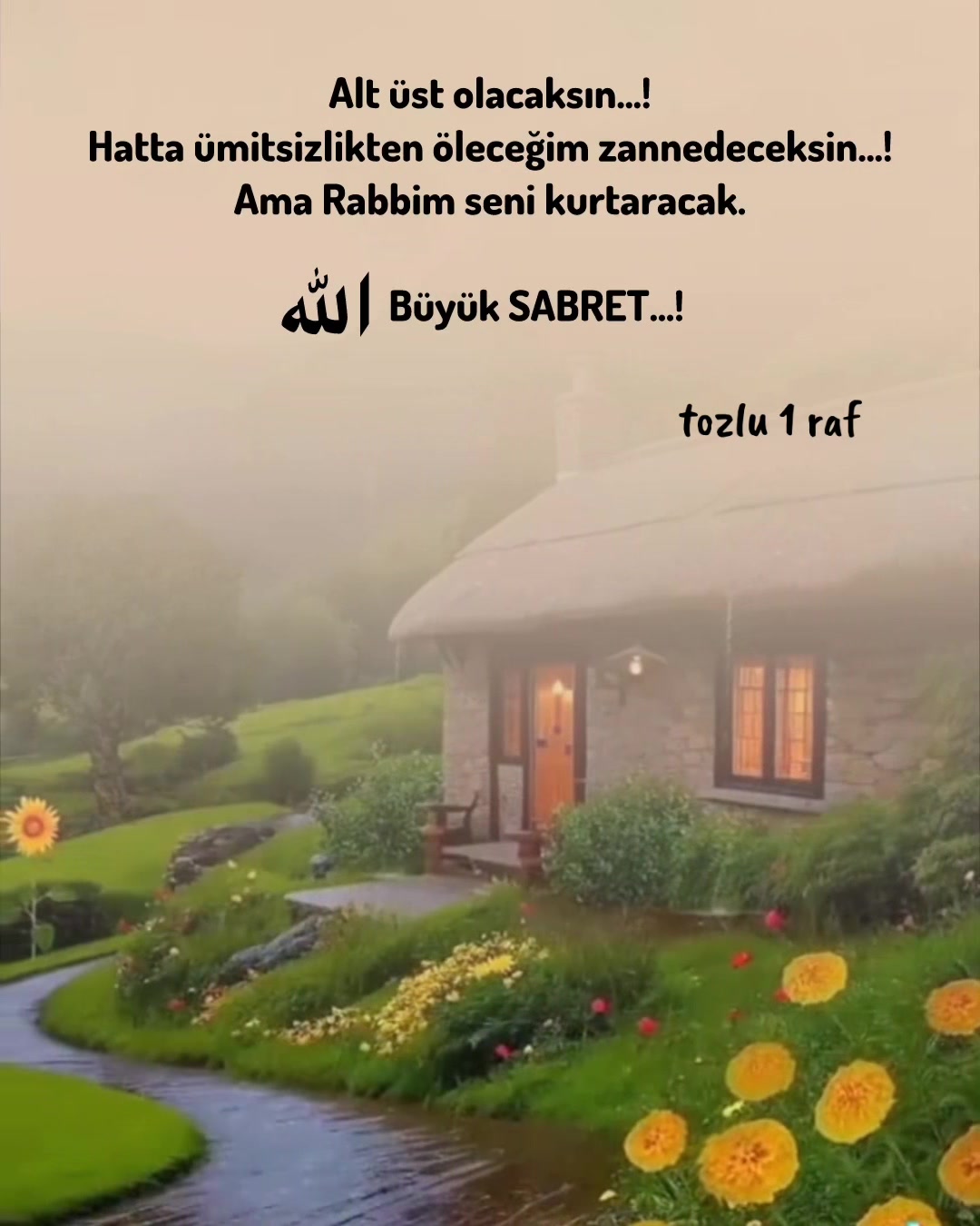 @tozlu1raf_