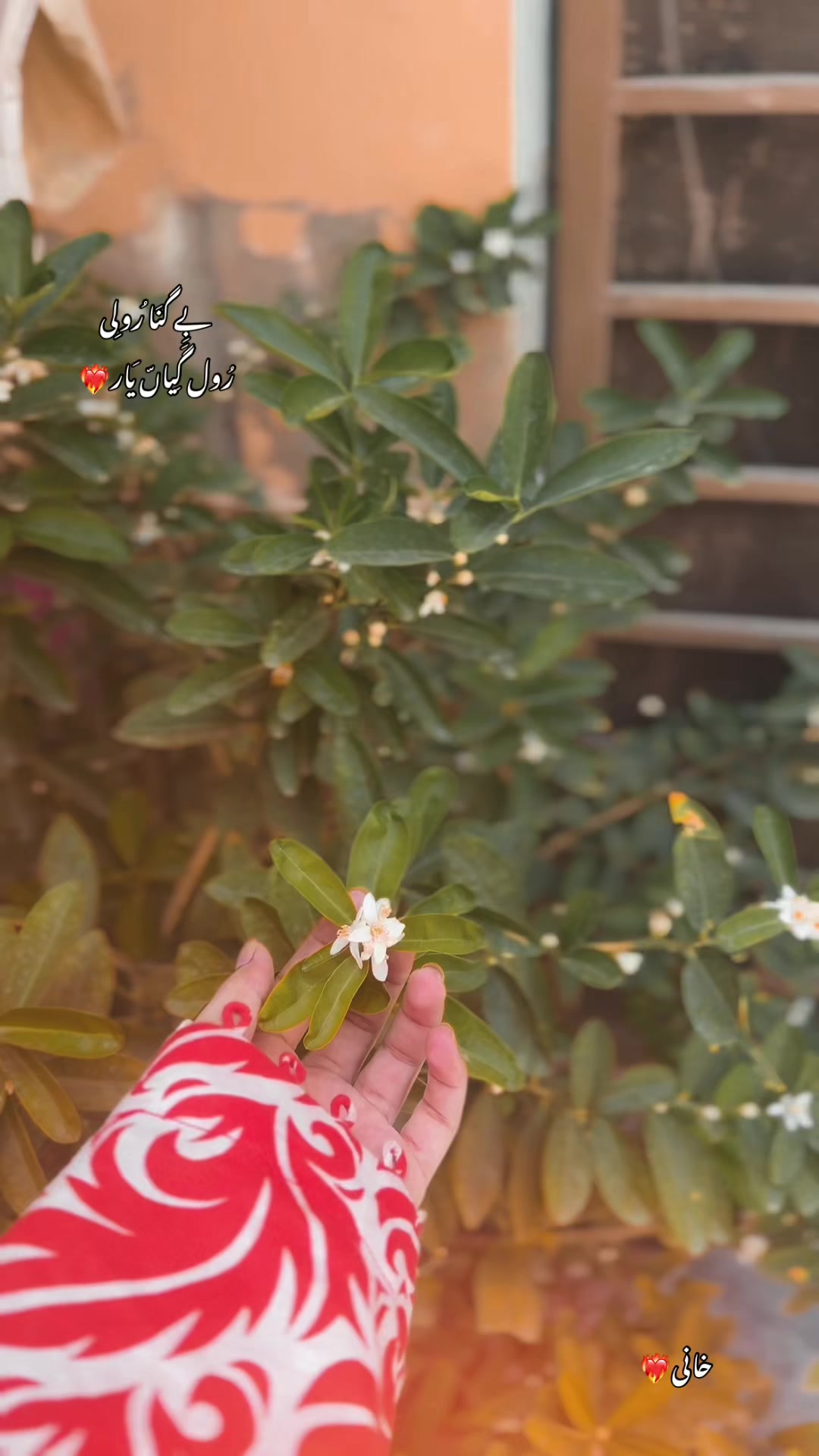 @خانی❤️🔥