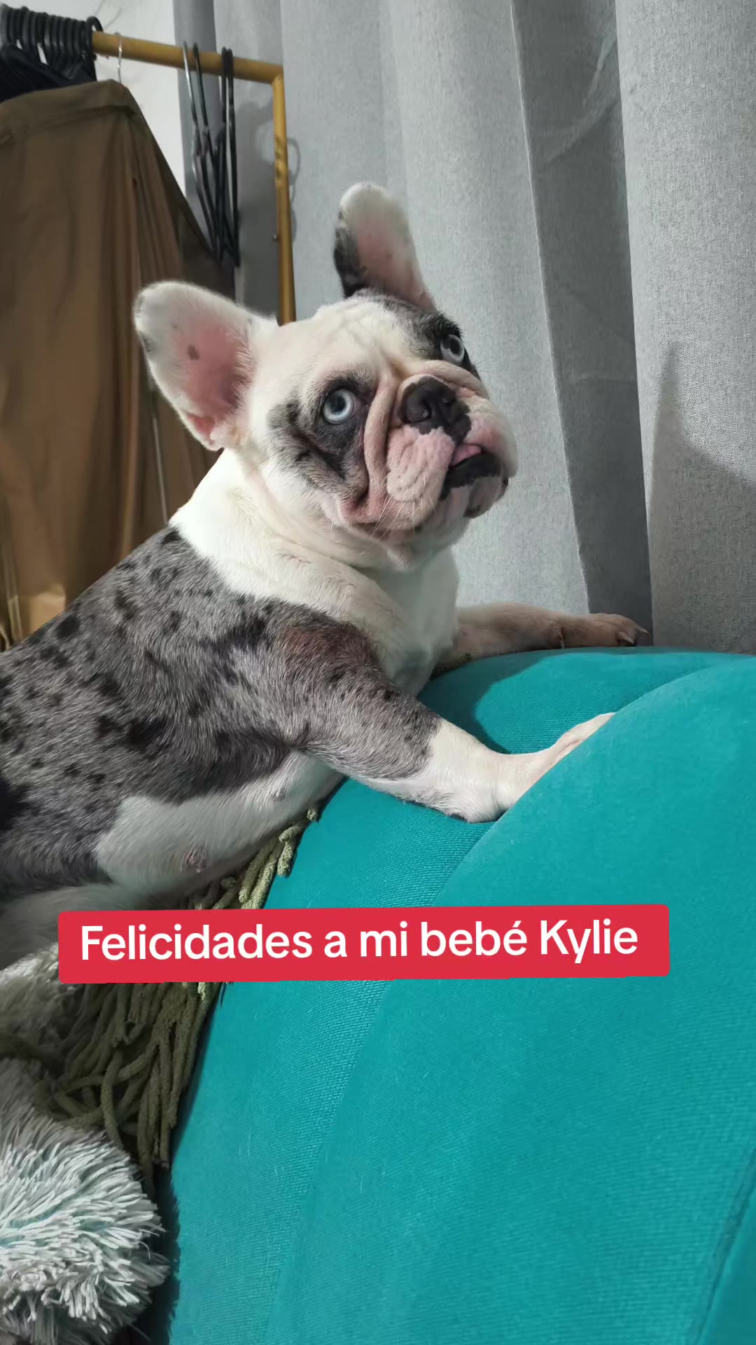 @pedrodemexico