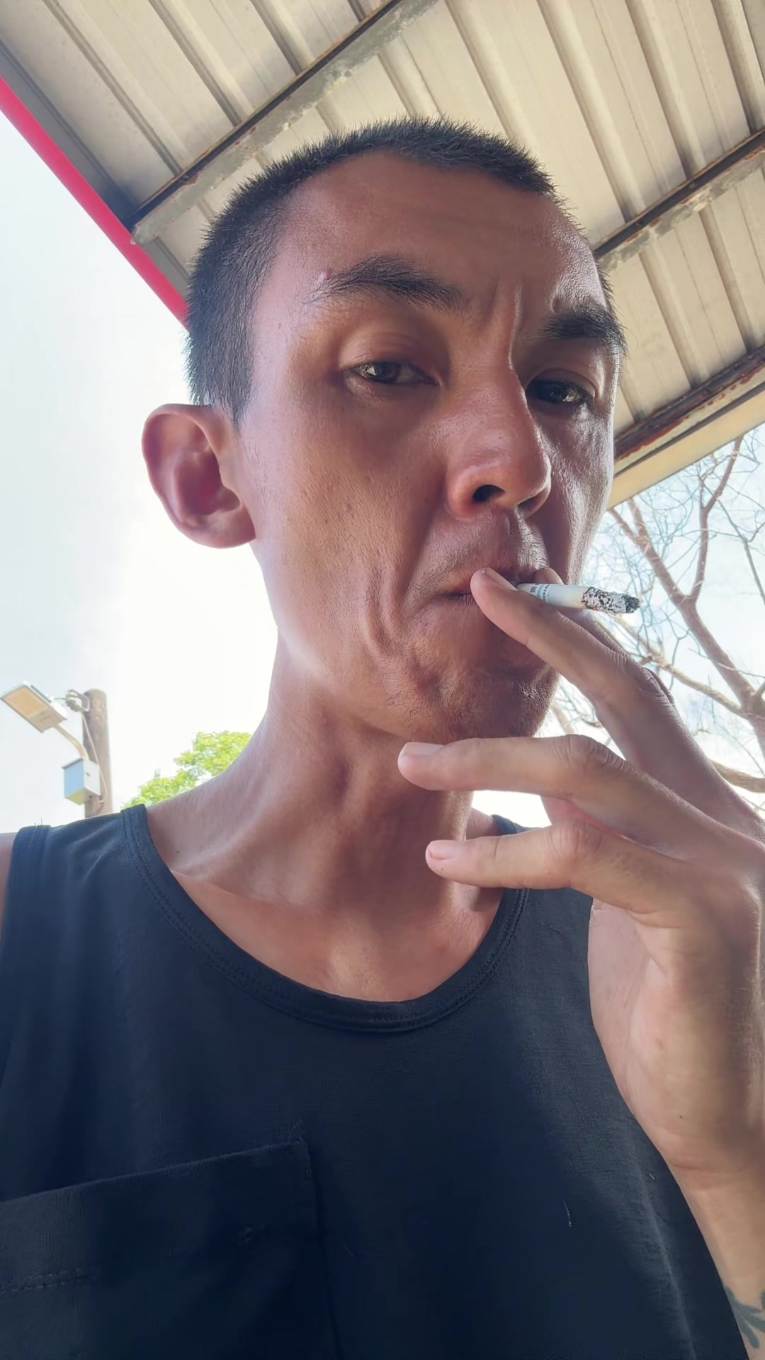 @陳致遠