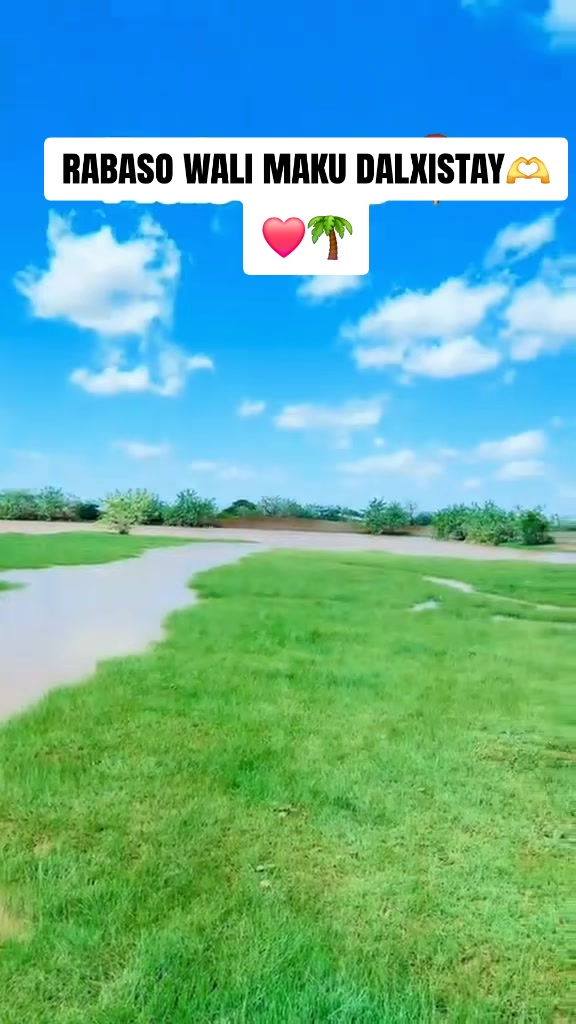 @{《DaLMar🐪🌴}》