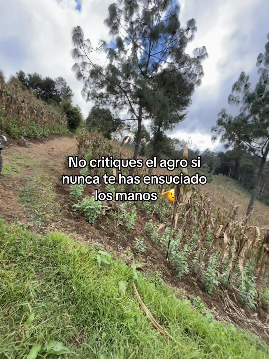 @Henry 🫡🤠