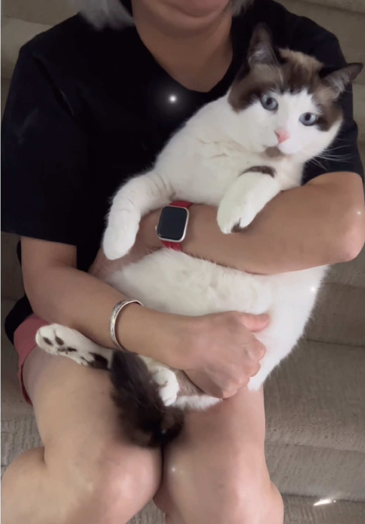 @寿司的儿子是鱼生
