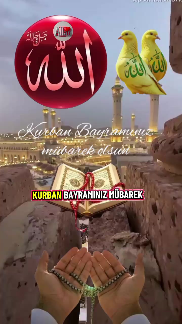 @🇹🇷Yasin Sapmaz🇹🇷