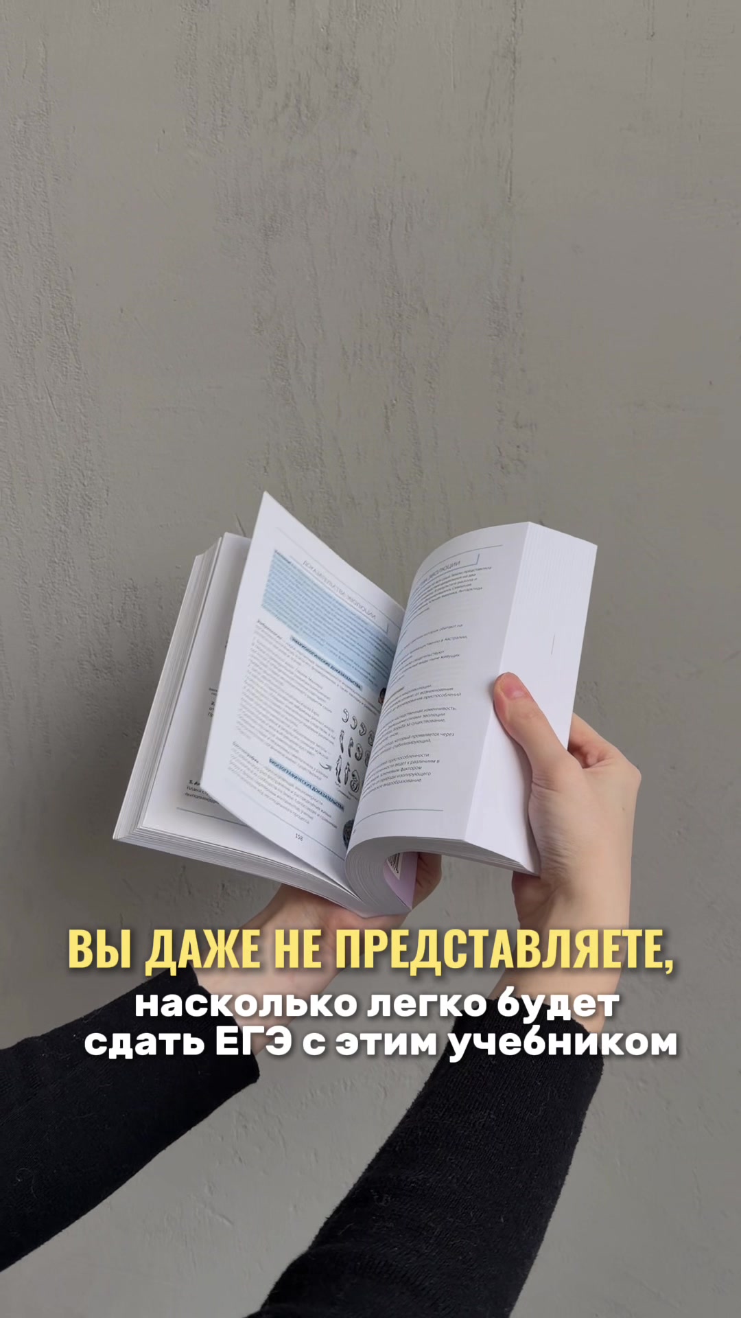 @Алёна Бриз